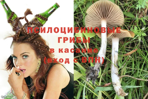 дживик Дмитриев