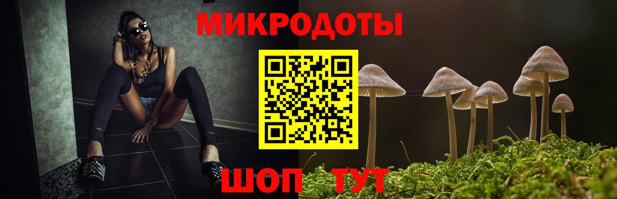 Галлюциногенные грибы прущие грибы  Вход с VPN  Псилоцибиновые грибы Psilocybe  Тында 